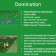 Illustration for article titled Man Applies For UND Head Coach Job, Cites Playing Madden As Experience